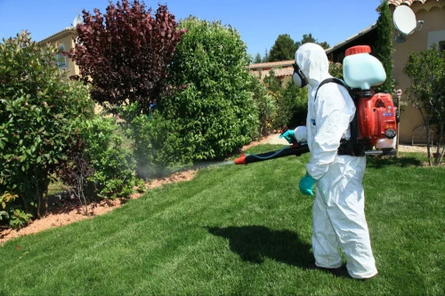 Corsicana Mosquito Control